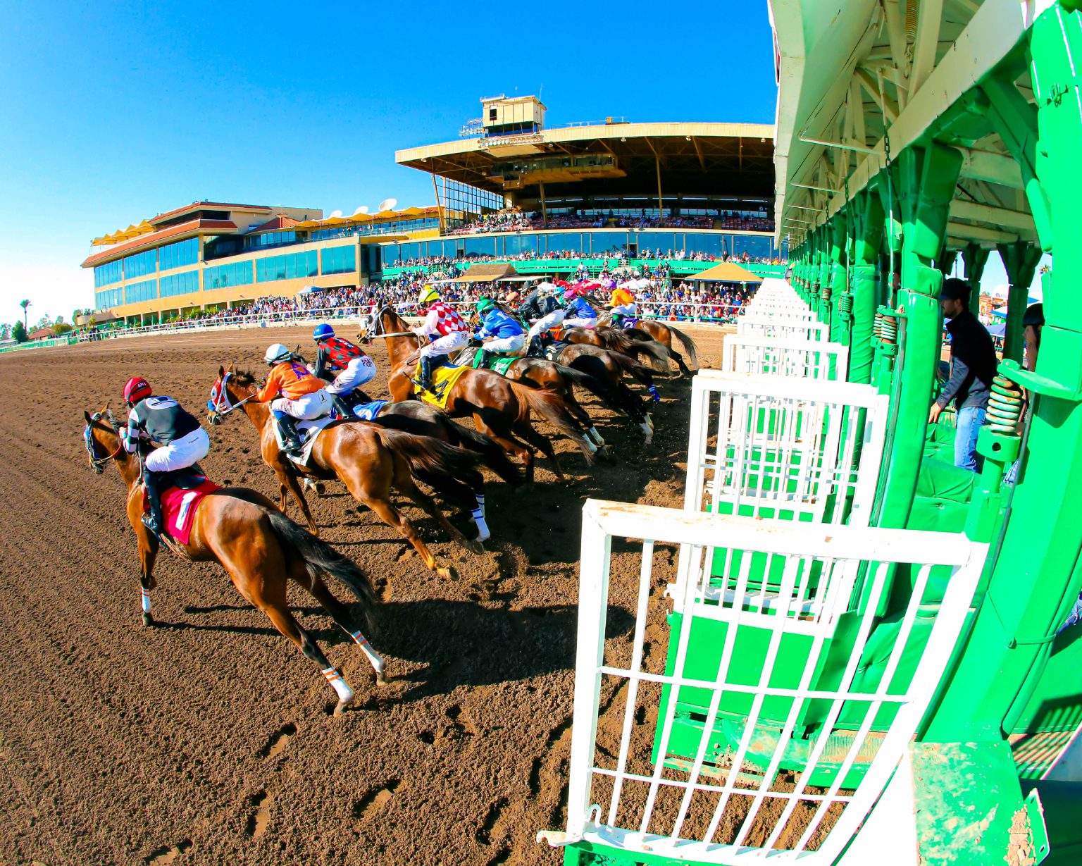 Landing - Turf Paradise